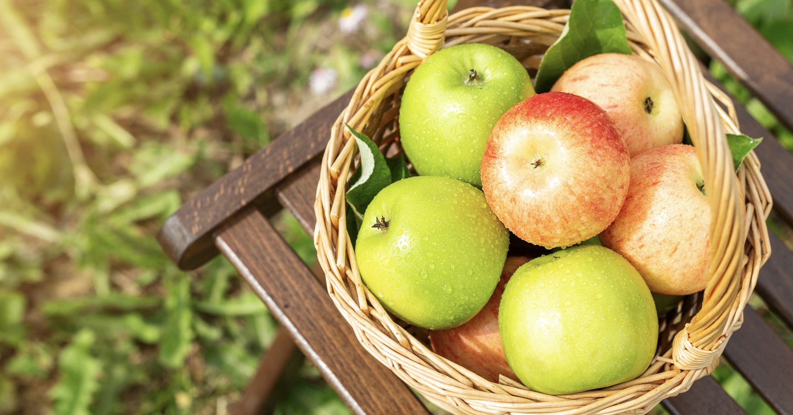 May I Have Cold Apples and a Nonjudgmental Heart, Please? Your Average Jo